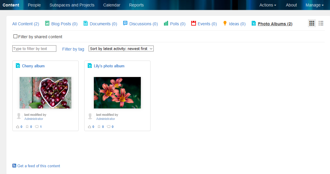 Photo albums on a Content tab