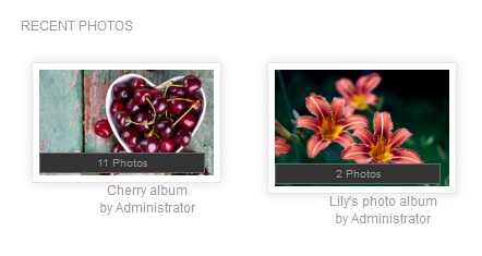 Recent Photo widget